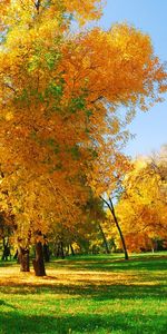 Landscape,Trees,Autumn