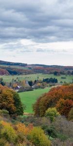 Árboles,Otoño,Paisaje