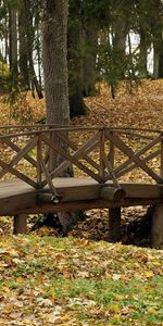 Landscape,Trees,Autumn,Leaves,Bridges