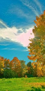 Landscape,Trees,Autumn,Sun,Clouds