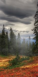 Árboles,Nubes,Paisaje