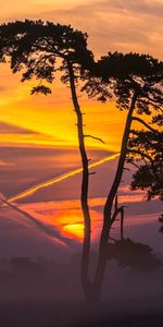 Landscape,Trees,Clouds,Sunset