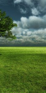 Landscape,Trees,Grass,Clouds,Fields