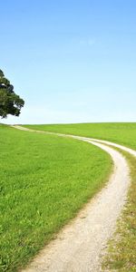 Árboles,Hierba,Paisaje,Carreteras