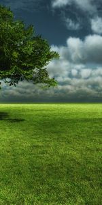 Herbe,Arbres,Sky,Paysage