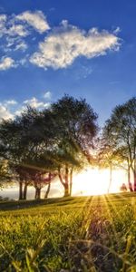 Herbe,Nuages,Sky,Arbres,Sun,Paysage