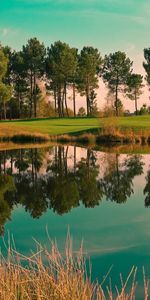 Arbres,Paysage,Lacs