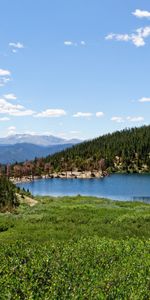 Landscape,Trees,Lakes