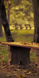 Landscape,Trees,Leaves,Autumn