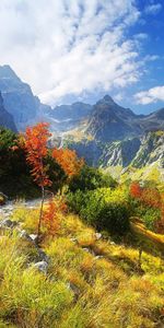 Landscape,Trees,Mountains