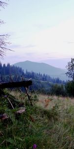 Árboles,Montañas,Paisaje