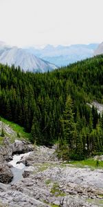 Landscape,Trees,Mountains