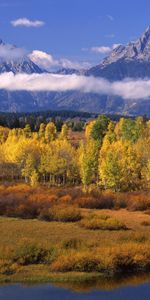 Montagnes,Arbres,Paysage