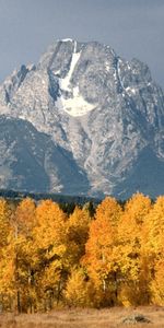 Landscape,Trees,Mountains,Autumn