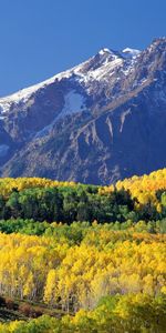 Paisaje,Árboles,Montañas,Otoño