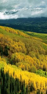 Landscape,Trees,Mountains,Autumn,Clouds