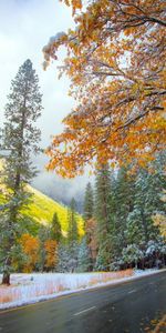 Landscape,Trees,Mountains,Autumn,Snow