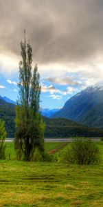 Nuages,Montagnes,Arbres,Paysage