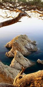 Landscape,Trees,Mountains,Sea