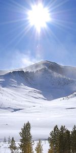 Arbres,Montagnes,Neige,Paysage