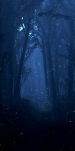 Landscape,Trees,Night