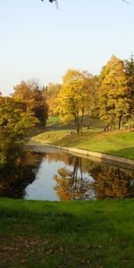 Landscape,Trees,Parks