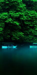 Landscape,Trees,Rivers,Boats