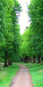 Paysage,Routes,Arbres