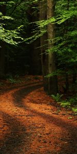 Landscape,Trees,Roads