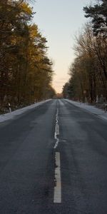 Árboles,Paisaje,Carreteras