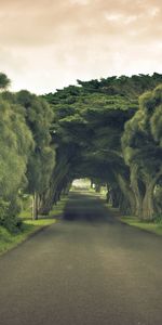 Paisaje,Árboles,Carreteras