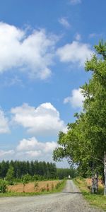 Landscape,Trees,Roads