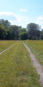 Arbres,Routes,Paysage