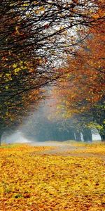 Landscape,Trees,Roads,Autumn