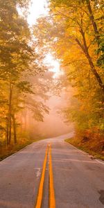 Árboles,Otoño,Paisaje,Carreteras