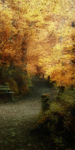 Landscape,Trees,Roads,Autumn