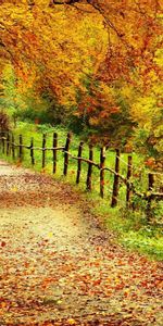 Landscape,Trees,Roads,Autumn