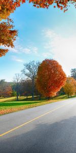 Landscape,Trees,Roads,Autumn,Leaves