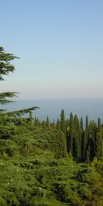 Landscape,Trees,Sea