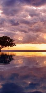 Landscape,Trees,Sea