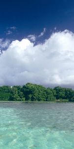 Landscape,Trees,Sea