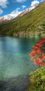 Arbres,Nuages,Mer,Paysage