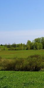 Landscape,Trees,Sky