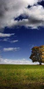 Nuages,Arbres,Sky,Paysage