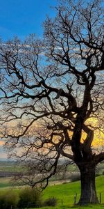 Landscape,Trees,Sky,Fields