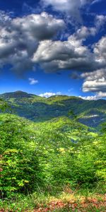 Landscape,Trees,Sky,Mountains,Clouds