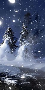 Landscape,Trees,Snow,Night