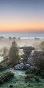 Landscape,Trees,Stones