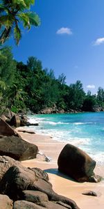 Landscape,Trees,Summer,Sea,Palms,Beach