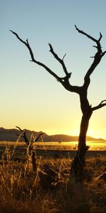 Paisaje,Árboles,Puesta Del Sol